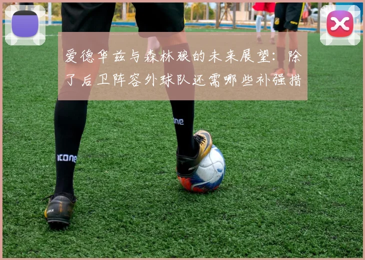 爱德华兹与森林狼的未来展望：除了后卫阵容外球队还需哪些补强措施